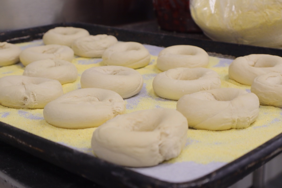 Hand-rolled bagel dough resting before kettle boil